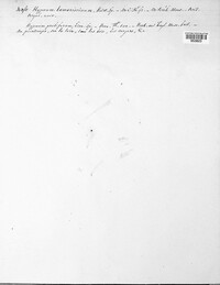 Image Associated With the Occurence